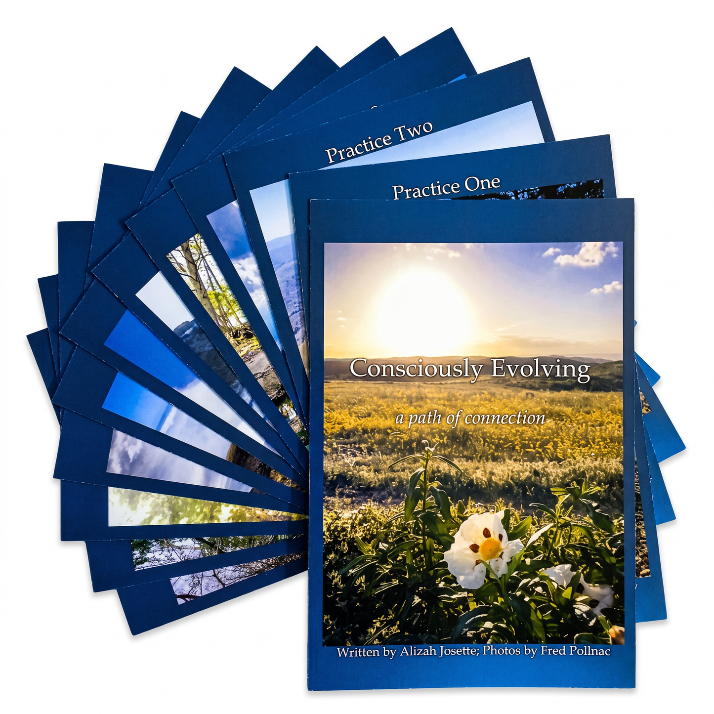 Consciously Evolving Meditation Cards